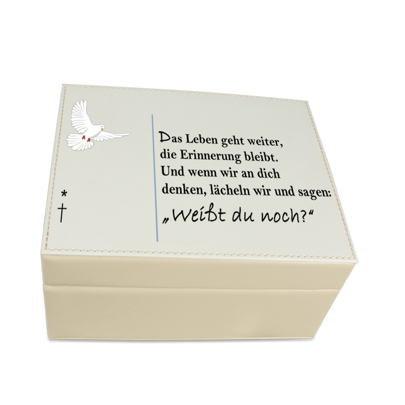 Erinnerungskästchen Leder